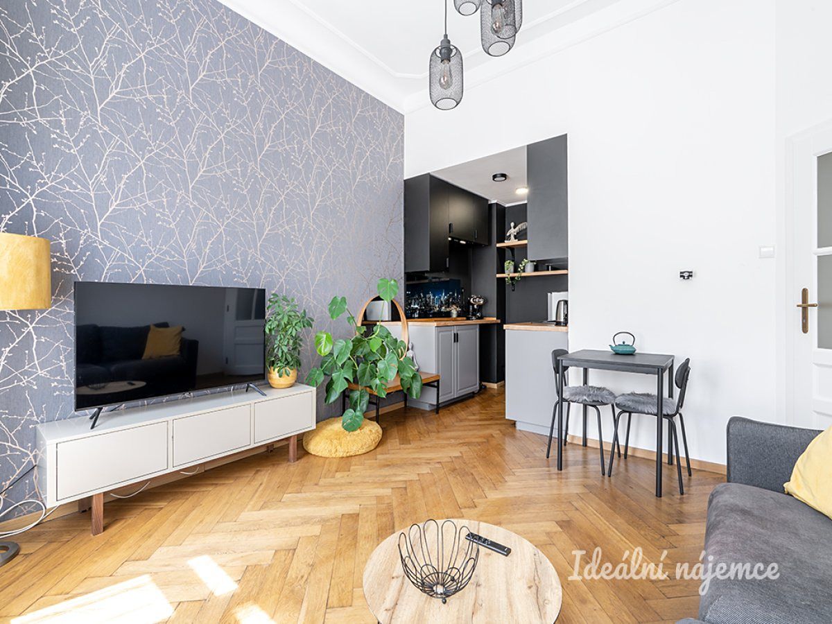 Pronájem bytu 2+kk 33 m² – fotografie 2