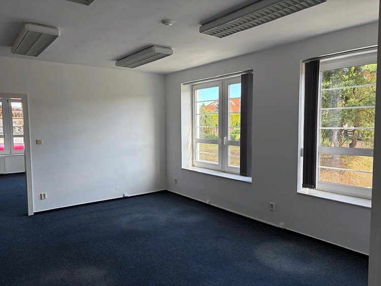 Pronájem komerčního prostoru, 162 m² (4 z 14)