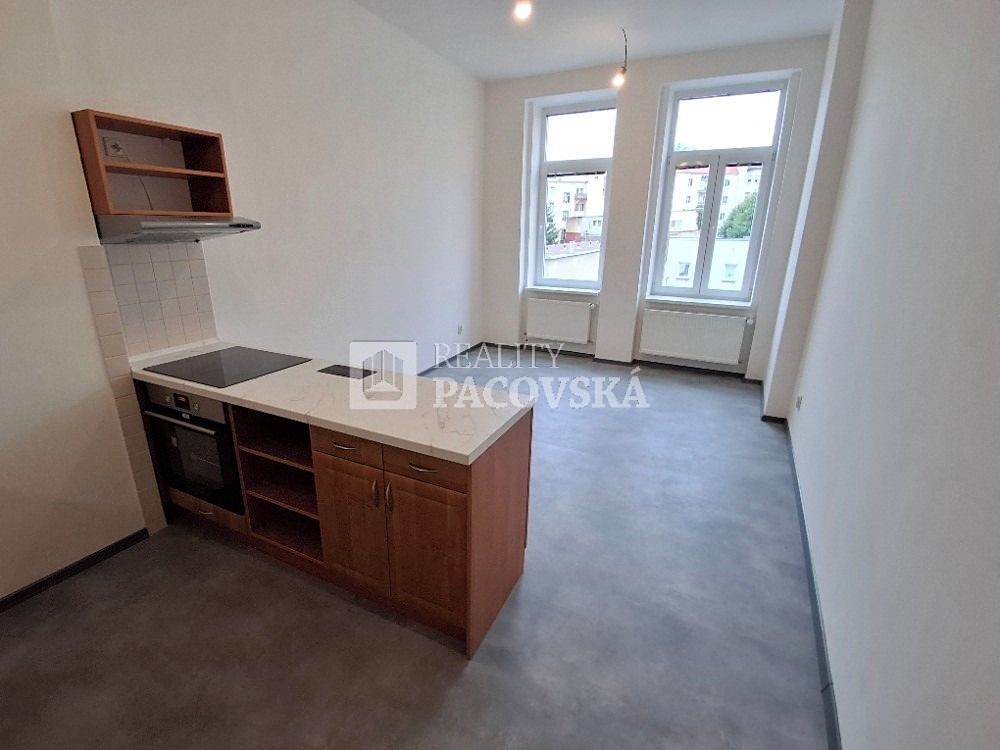 Pronájem bytu 2+1 101 m² – fotografie 4