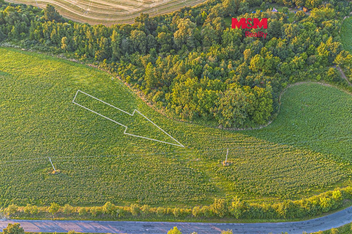 Prodej pole 10056 m²