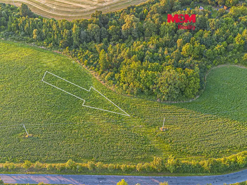 Prodej pole 10056 m², Žlebské Chvalovice – náhled fotky 1