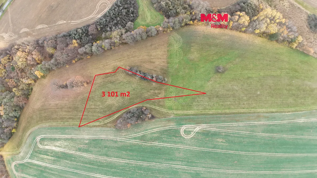 Prodej louky 3101 m²