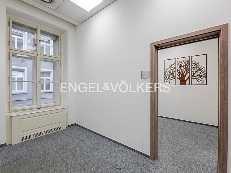 Комерційне приміщення в оренду, 300 м² (8 з 18)