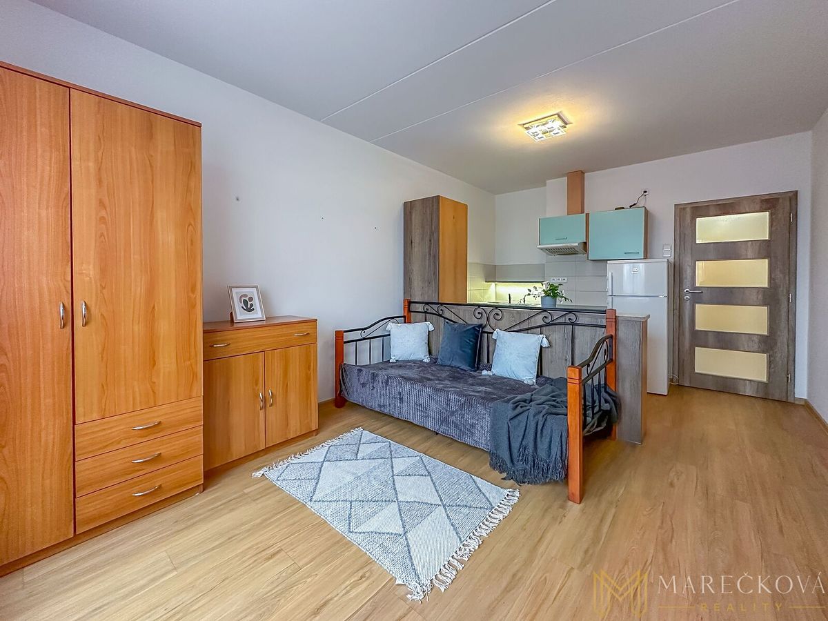 Pronájem bytu 1+kk 27 m² – fotografie 2