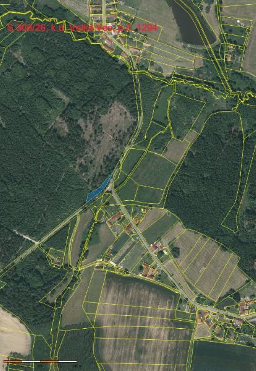 Prodej lesa 1012 m² – fotografie 2
