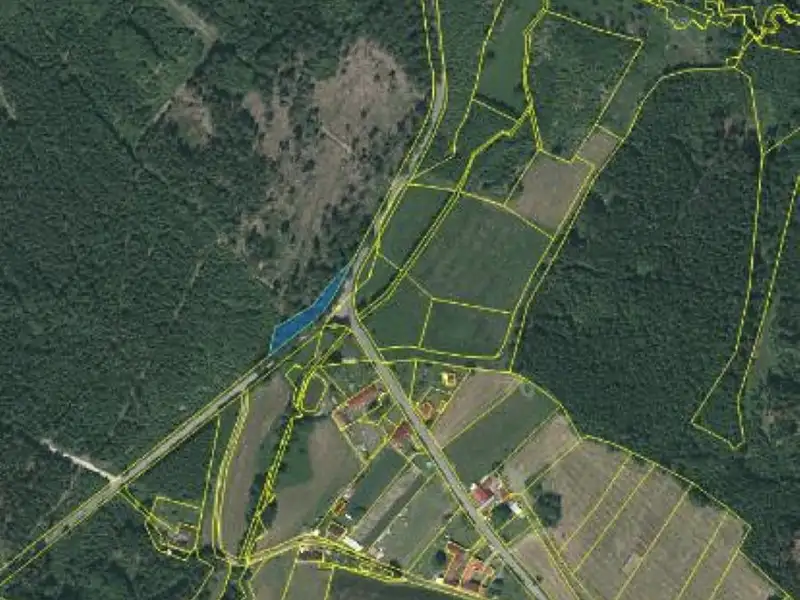 Prodej lesa 1012 m², Lukavec – náhled fotky 2