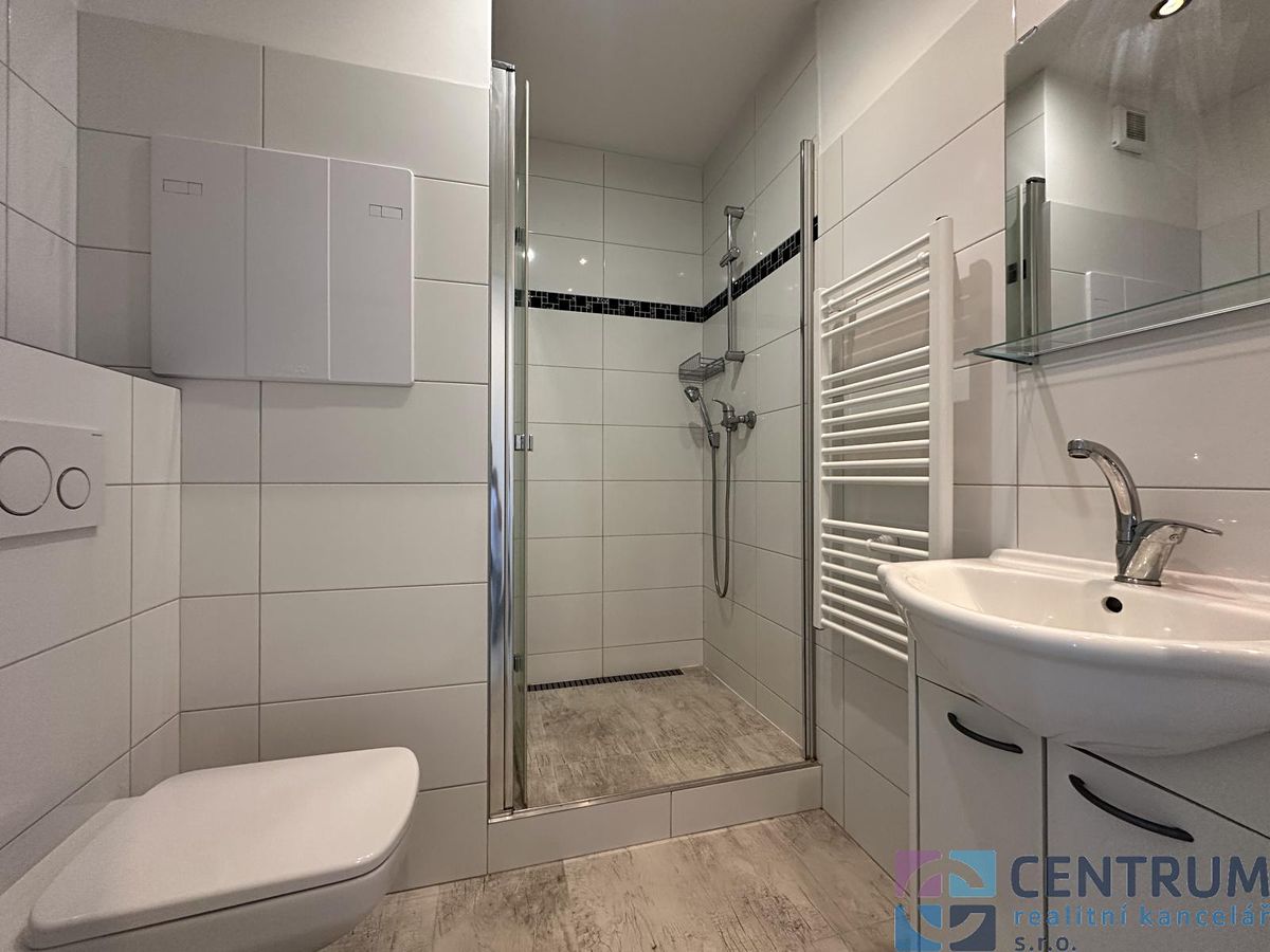 Pronájem bytu 1+1 36 m² – fotografie 3