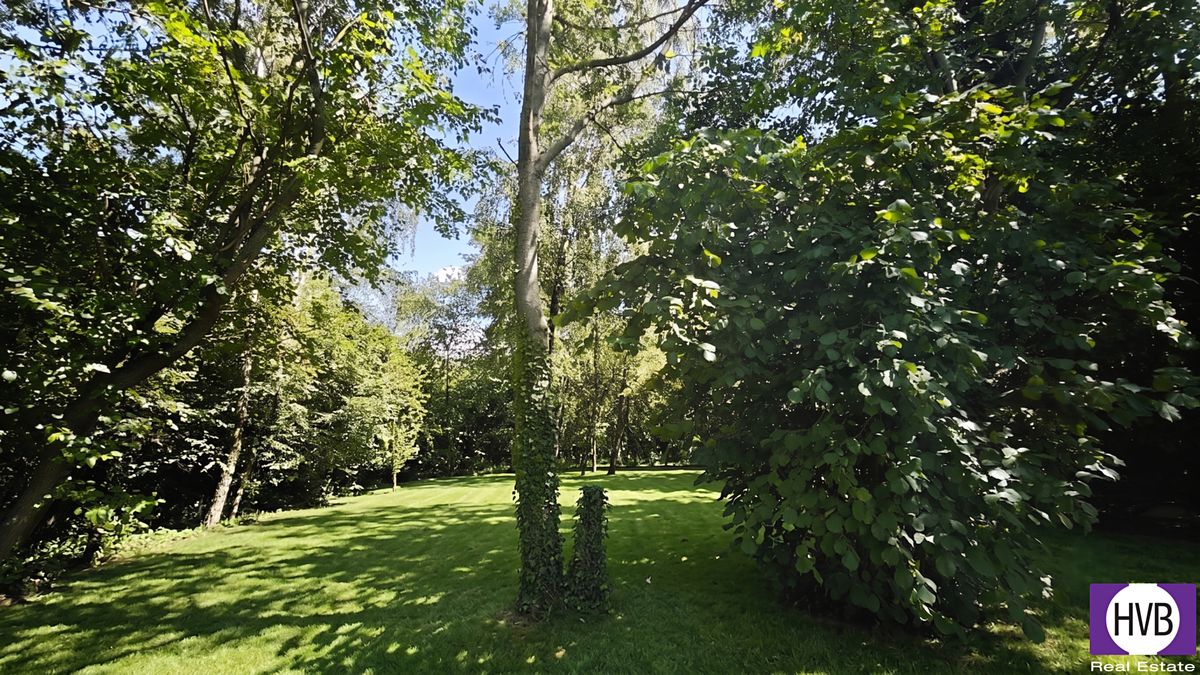 Prodej rodinného domu 105 m², pozemek 3600 m² – fotografie 5