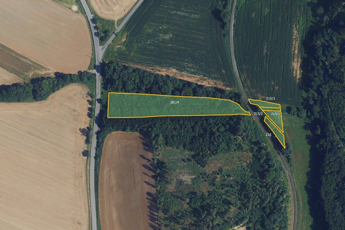 Prodej lesa 9935 m²