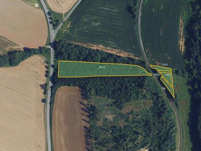 Prodej lesa 9935 m²