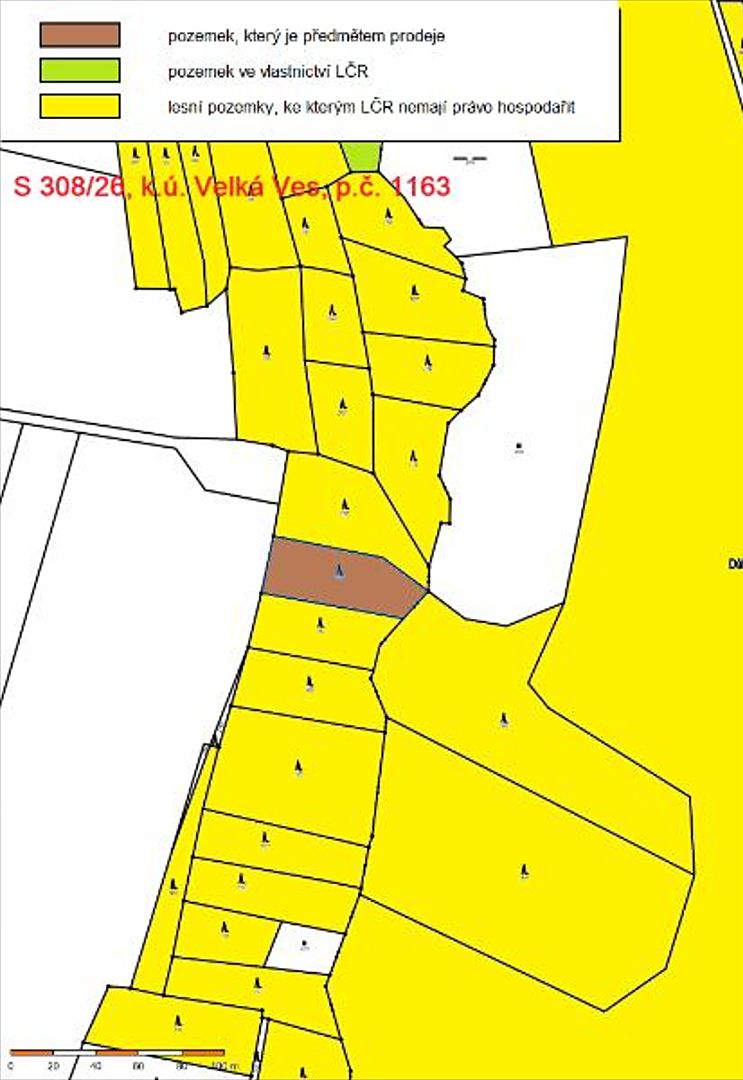 Prodej lesa 1810 m² – fotografie 2