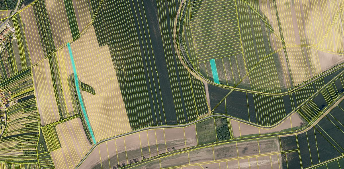 Prodej pole 7242 m² – fotografie 3