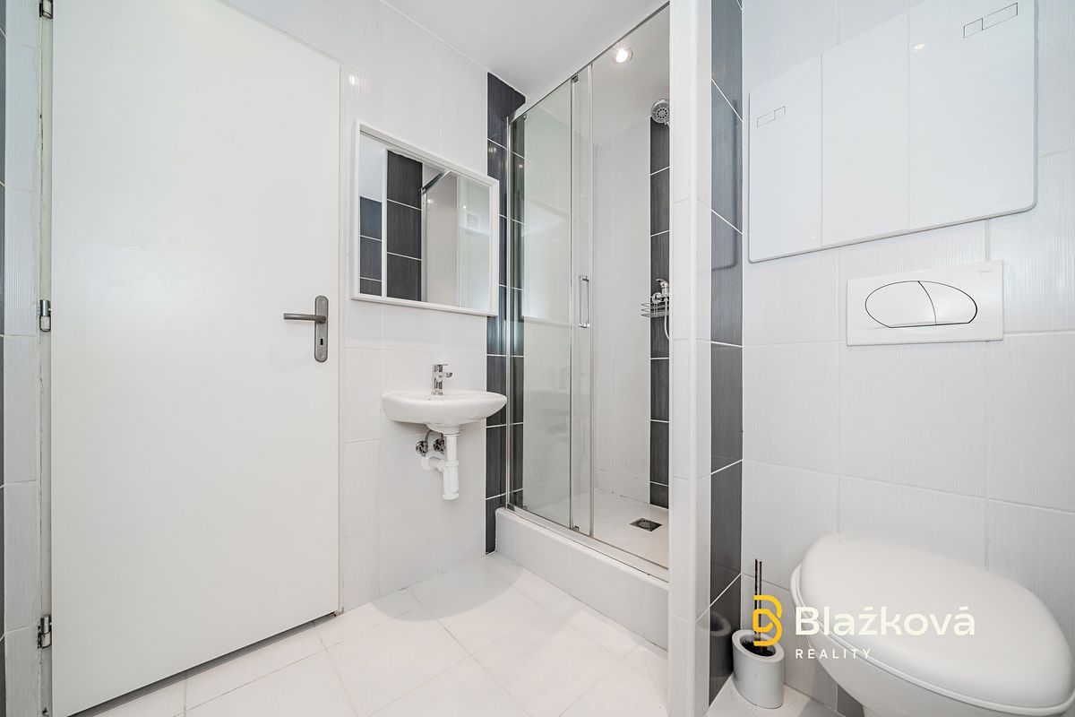 Pronájem bytu 1+kk 27 m² – fotografie 4