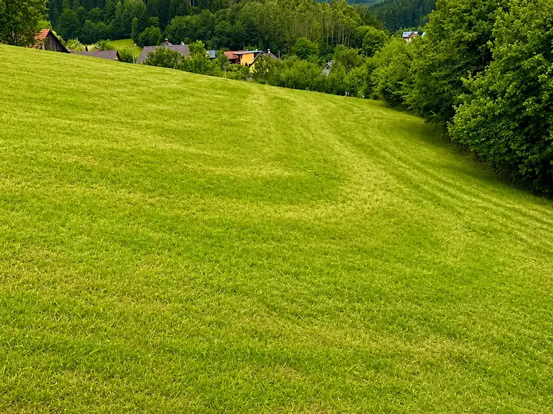 Prodej stavebního pozemku 1521 m², Mikulůvka – náhled fotky 1