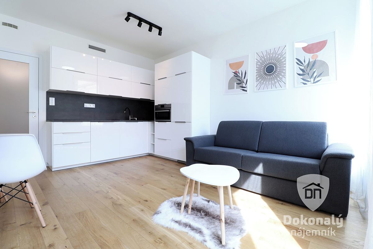 Pronájem bytu 1+kk 29 m² – fotografie 2