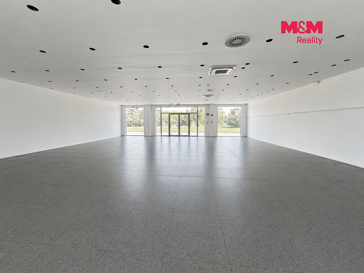 Pronájem obchodního prostoru 420 m² – fotografie 4