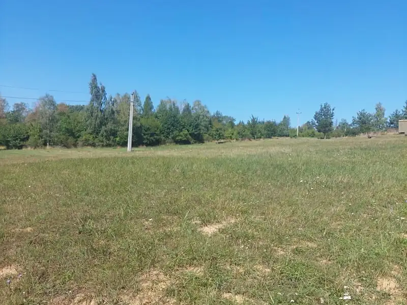 Prodej zahrady 3220 m², Stražisko – náhled fotky 2