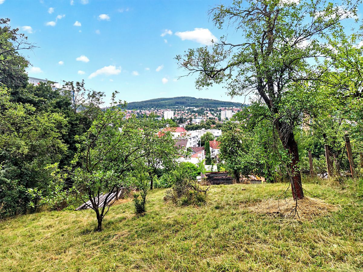 Prodej stavebního pozemku 1013 m² – fotografie 5