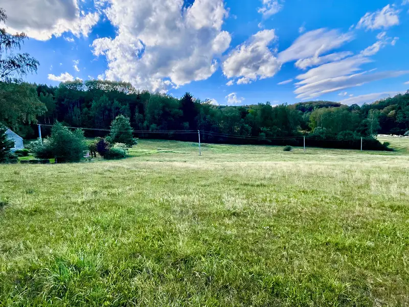 Prodej louky 5614 m², Brloh – náhled fotky 3
