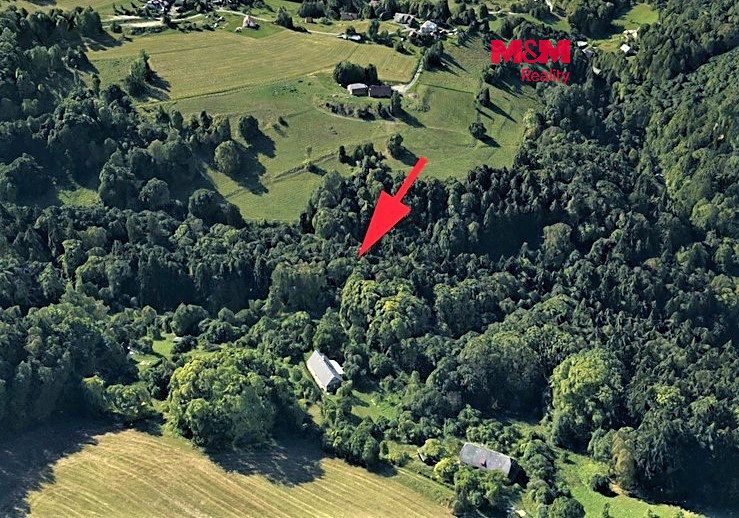 Prodej lesa 2062 m²