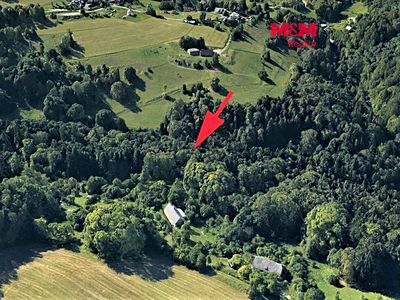 Prodej lesa 2062 m²