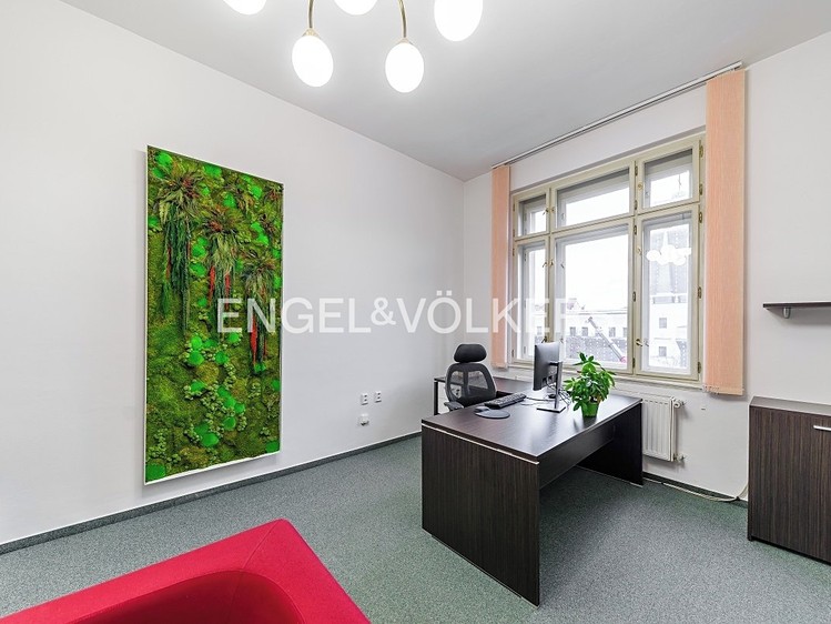 Комерційне приміщення в оренду, 224 м² (5 з 15)