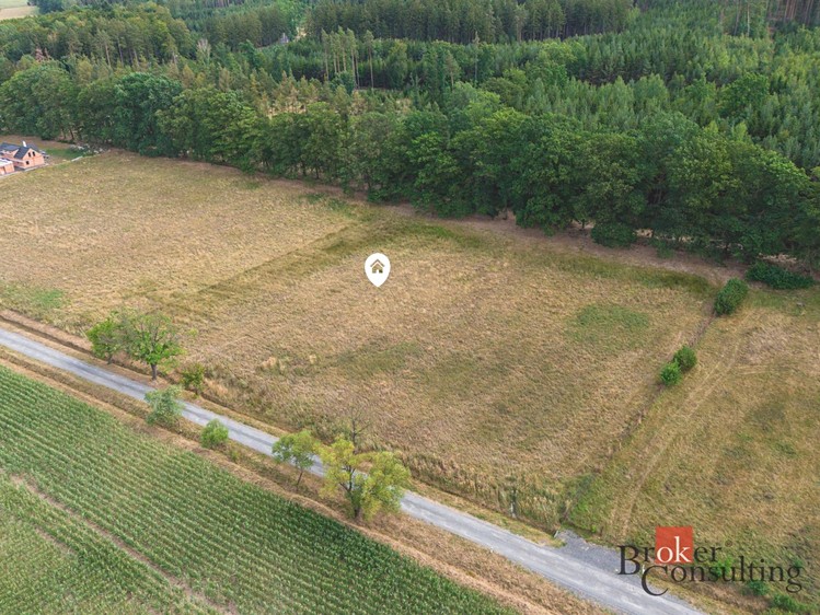 Ділянка на продаж, 7 848 м² (8 з 9)