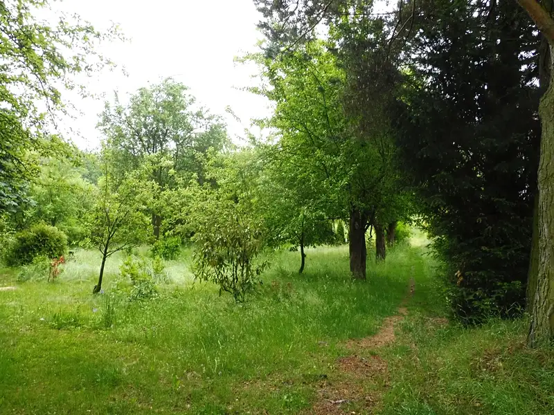 Dražba zahrady 365 m², Horní Cerekev – náhled fotky 3