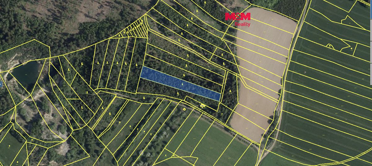 Prodej lesa 7177 m²