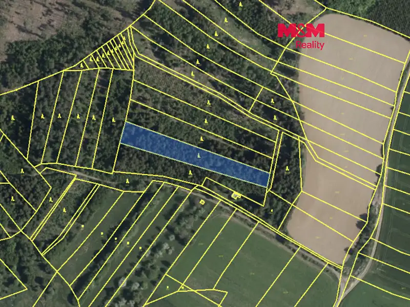 Prodej lesa 7177 m², Mysletice – náhled fotky 1