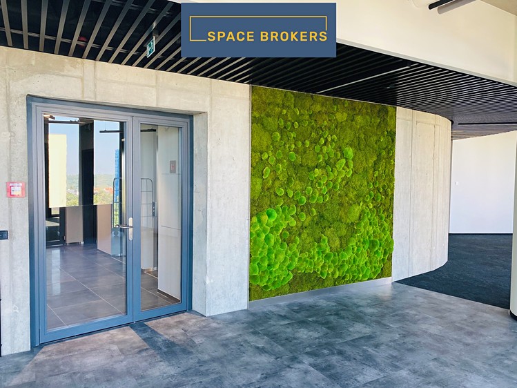 Gewerbefläche zur Miete, 520 m² (5 von 17)