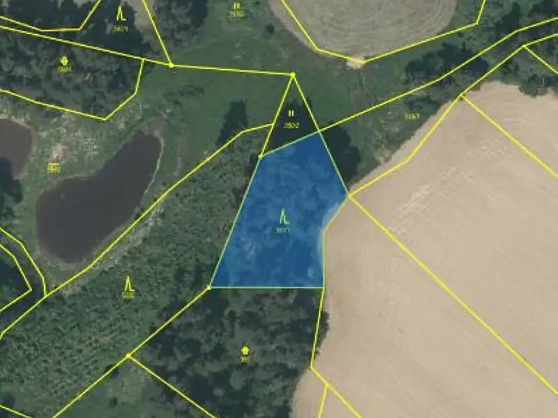 Prodej lesa 1259 m², Čáslavsko – náhled fotky 2