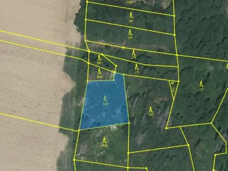 Prodej lesa 1183 m², Lukavec – náhled fotky 2