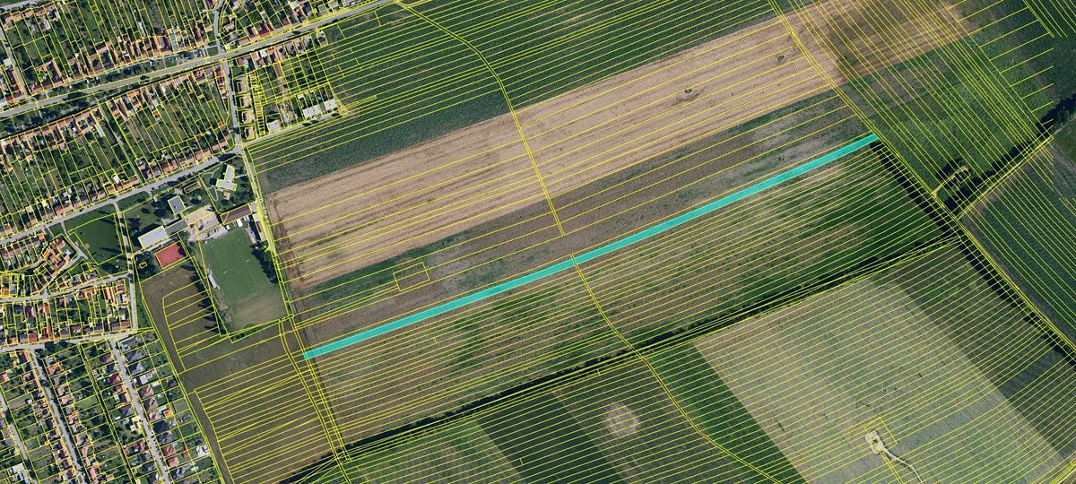 Prodej pole 18463 m² – fotografie 3
