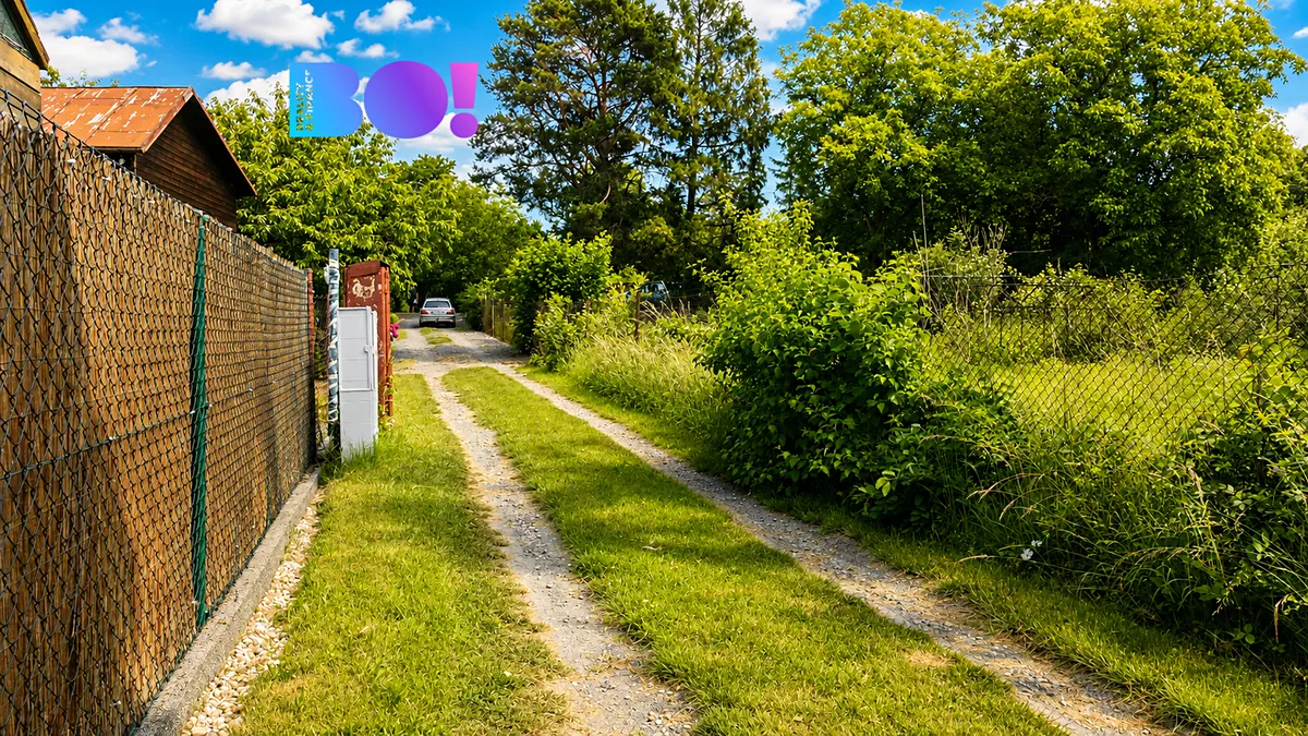Fotka 5 z 11