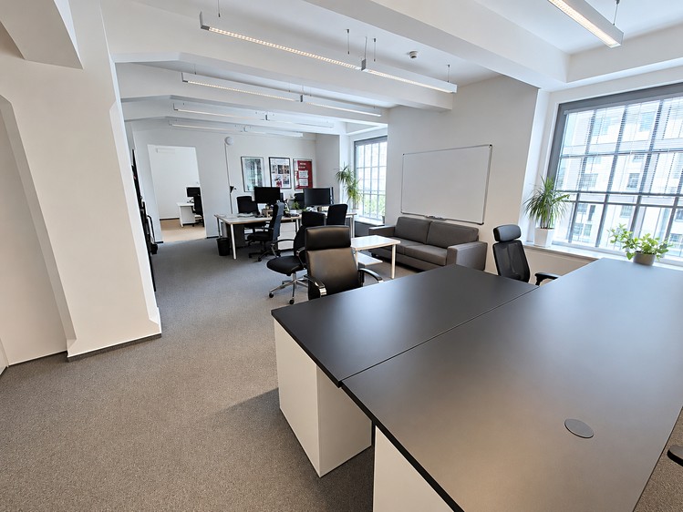 Pronájem komerčního prostoru, 650 m² (6 z 14)
