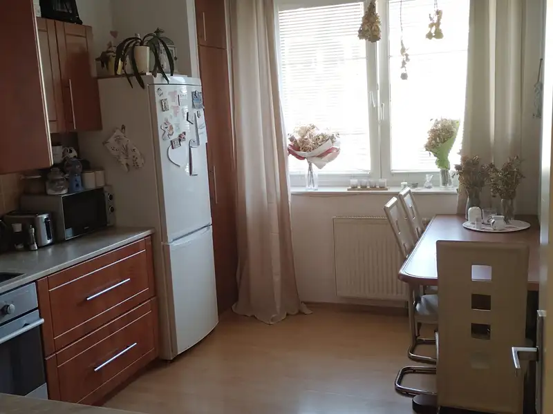 Pronájem bytu 1+1 38 m², Polička – náhled fotky 3