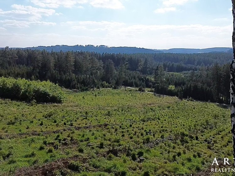 Prodej domu, 135 m² (3 z 19)