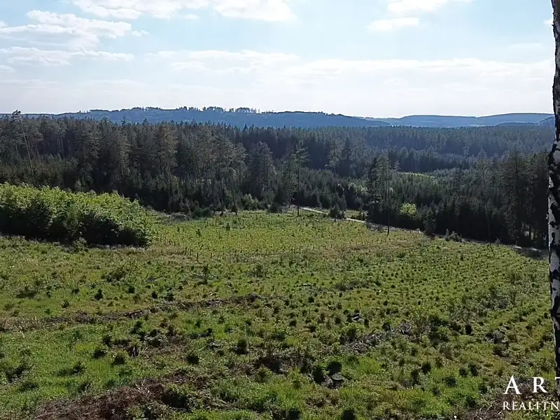 Prodej chaty 135 m², pozemek 1 m², Městečko Trnávka – náhled fotky 3