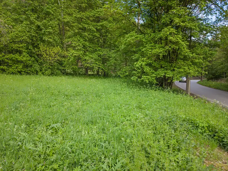 Prodej stavebního pozemku 2508 m², Beroun – náhled fotky 3