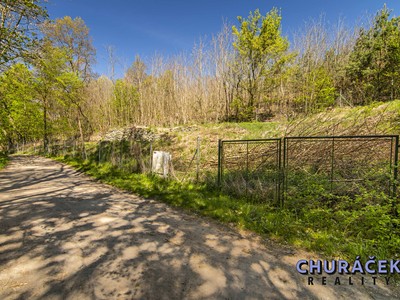 Pronájem  pozemku 653 m²