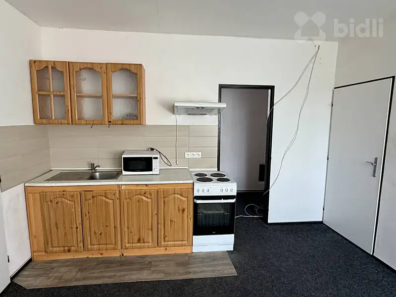 Pronájem bytu 2+1 42 m², Svratka – náhled fotky 2