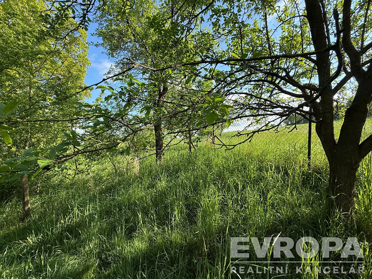 Pronájem zahrady 3333 m² – fotografie 2