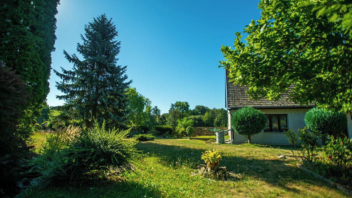 Prodej rodinného domu 119 m², pozemek 2274 m² – fotografie 3