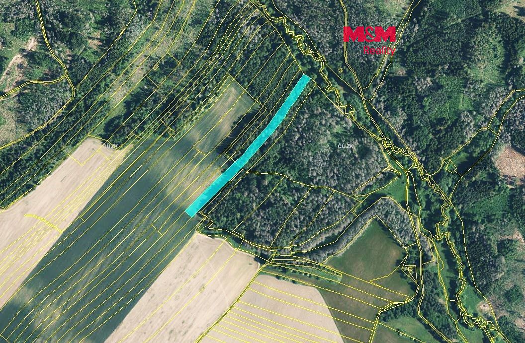 Prodej lesa 1811 m²