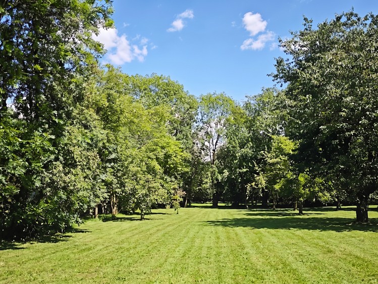 Prodej pozemku, 1 100 m² (4 z 12)