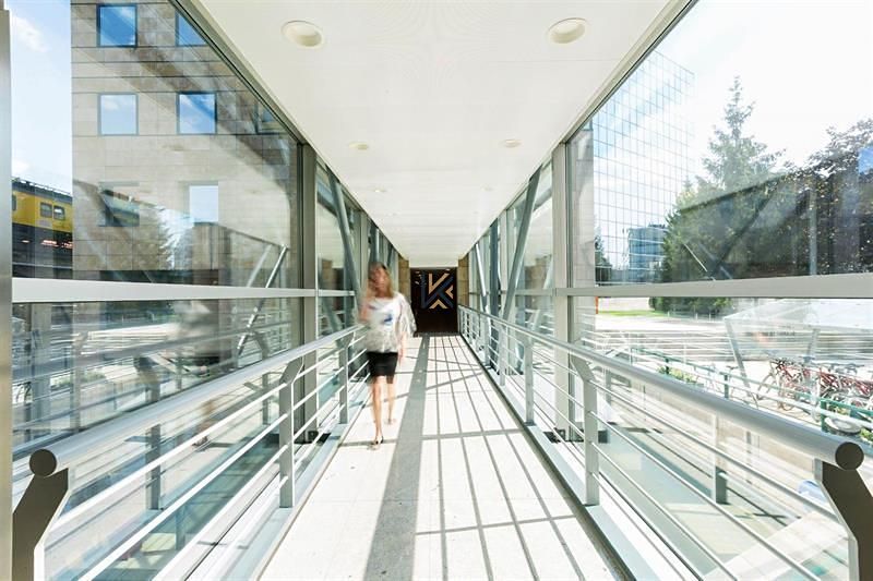 Pronájem kanceláře 160 m² – fotografie 4