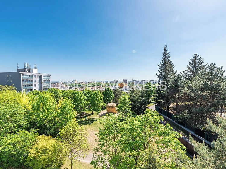 Комерційне приміщення в оренду, 25 м² (12 з 17)