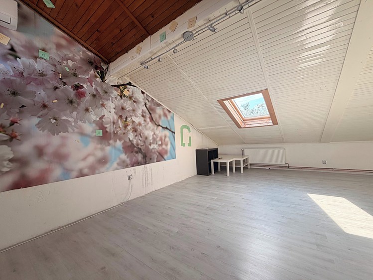Haus zum Kauf, 220 m² (7 von 49)