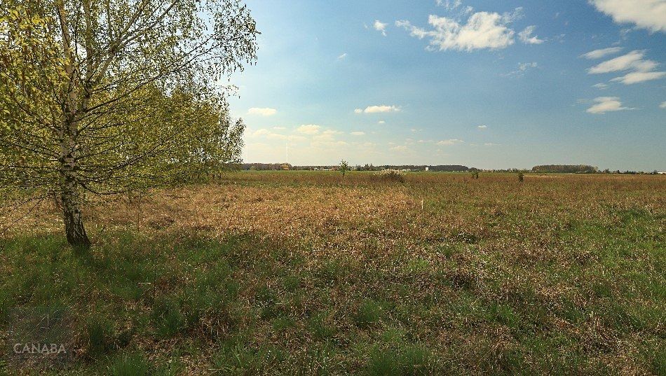 Prodej rodinného domu 139 m², pozemek 840 m² – fotografie 3